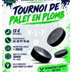 Tournoi de palet